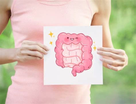 The Gut Brain Connection To Aging Prime Women An Online Magazine Artofit