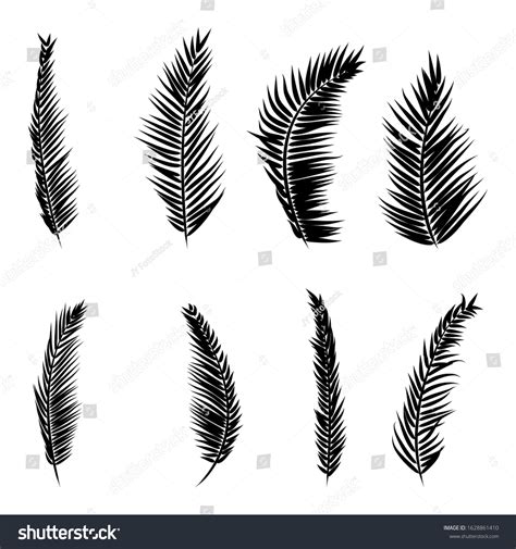 Silhouette Palm Tree Branch Collection Set Stock Vector (Royalty Free ...