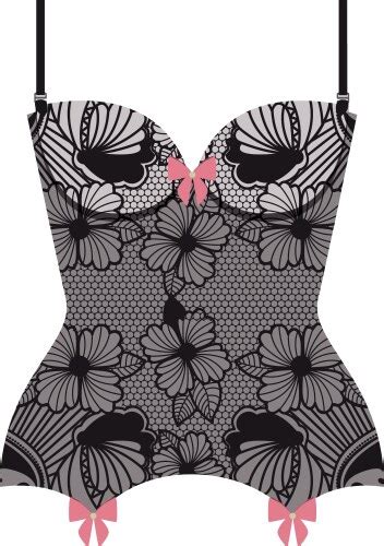 Beautiful Lingerie Royalty Free Vector Image Vectorstock