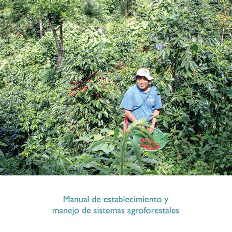 Manual De Establecimiento Y Manejo De Sistemas Agroforestales