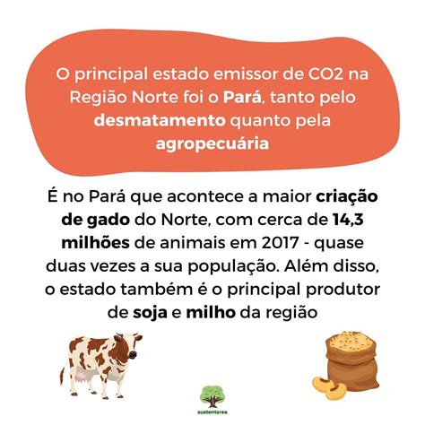 Qual O Impacto Ambiental Do Sistema Alimentar Do Norte Sustentarea