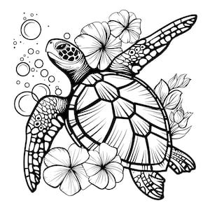 Turtle Svg, Turtle Png, Turtle Outline Svg, Sea Turtle Svg, Cricut Sea ...