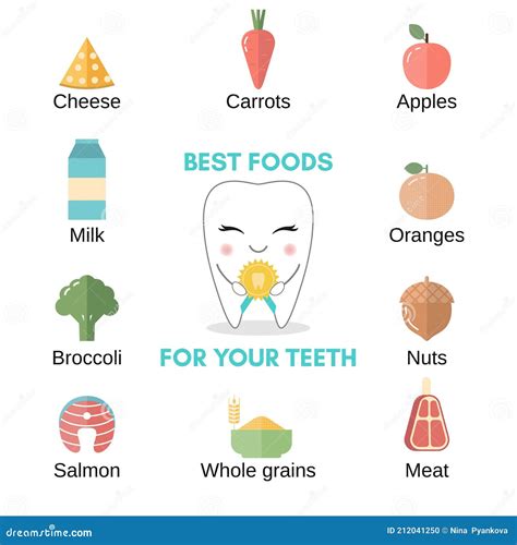 Best Food for Healthy Teeth Stock Vector - Illustration of benefit ...