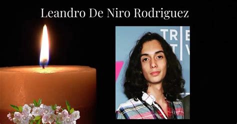 Leandro De Niro Rodriguez, Robert De Niro's Grandson: His Life And Tragic Deἀth