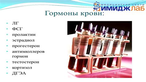 Обследование перед ЭКО - YouTube