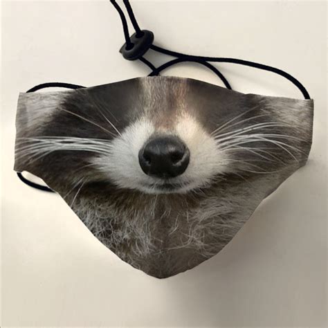 Raccoon Face Mask – Maskalike