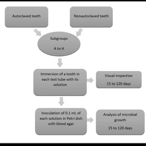 Flowchart of the laboratory method. | Download Scientific Diagram