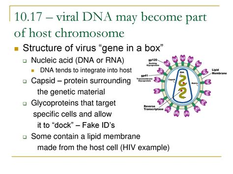 Molecular Biology Of The Gene Ppt Download