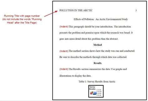 Apa Formatting Rules For Your Paper