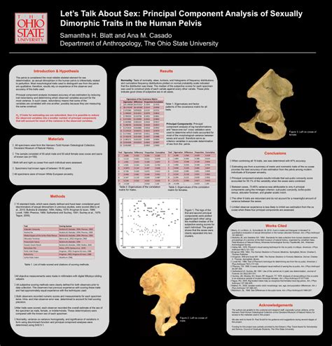 Pdf Lets Talk About Sex Principal Component Analysis Of Sexually