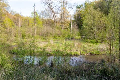 Beachfront Along Lake Michigan in Indiana Dunes State Park Stock Photo ...