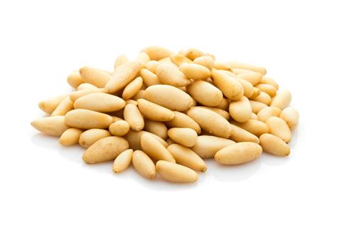 Organic Pine Nuts Raw No Shell Nuts