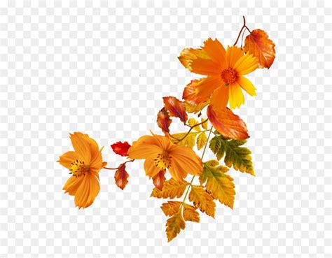 Flower Autumn Clip Art Fall Flowers Transparent Background Hd Png