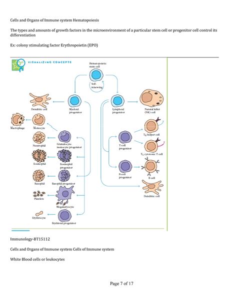 Immunology Lecture Cells And Organs Of Immune System