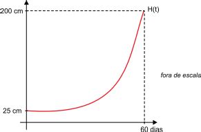 Aio Analise O Grafico Que Representa A Variacao Da Altura