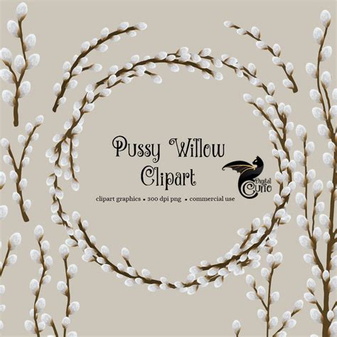 Pussy Willow Wreath Etsy