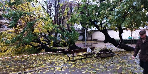 Mugello Cade Ancora Un Albero Nel Giardino Di Una Scuola Ieri Alla