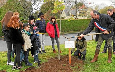 Conseil municipal des enfants Un arbre de la solidarité a été planté