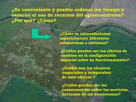 PPT ECOSISTEMAS Y AGROECOSISTEMAS Estructura Funciones Y