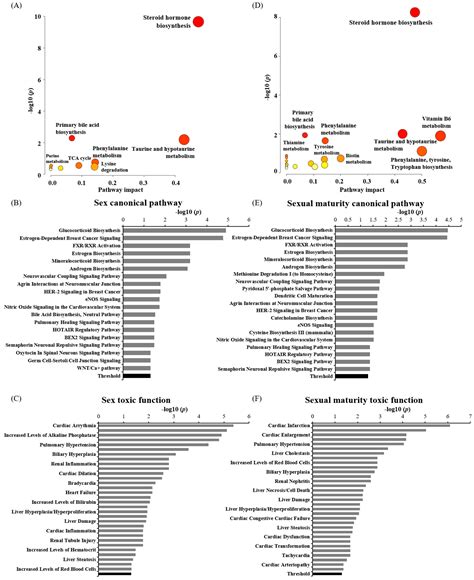 Toxics Free Full Text Untargeted Metabolomics Analysis Reveals