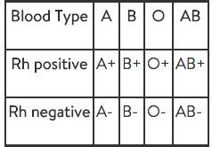 Rh Blood Type Chart