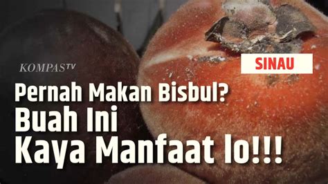 Video Manfaat Buah Bisbul Yang Langka Sinau