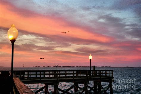 Pink skyline Photograph by Cindy Piper