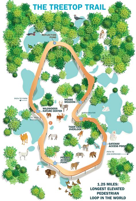 Minnesota Zoo Starts Work on World's Longest Elevated Trail