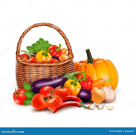 A Basket Full Of Vegetables Cartoon Vector | CartoonDealer.com #91173905