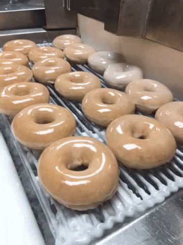 Originalglazeddoughnuts Gifs Get The Best On Giphy