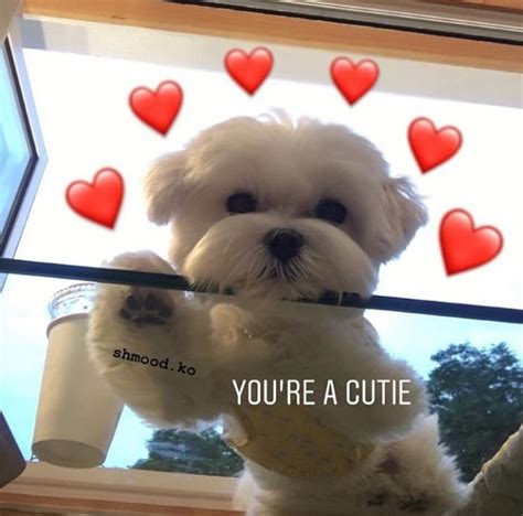 You Are A Cutie Rwholesomememes