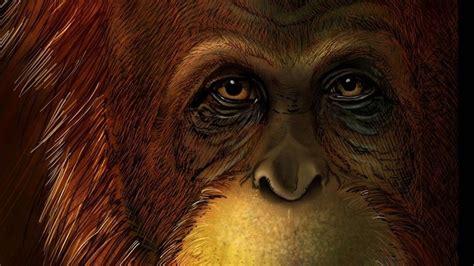 Resuelto El Misterio Del Gigantopithecus El Simio Gigante De M S De