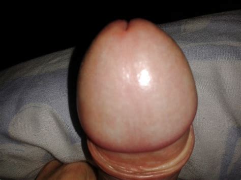 My Hard Big Fat Cock Porn Pictures Xxx Photos Sex Images Pictoa