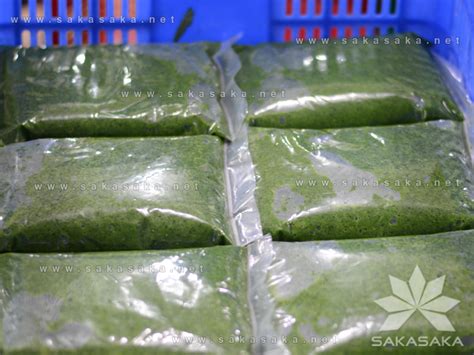 Frozen Cassava Leaves With High Quality And Best Price