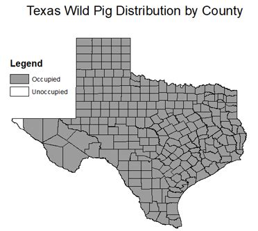 Feral Pig Population Map