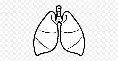 Lungs Coloring Page Printable Sexiezpicz Web Porn Hot Sex Picture