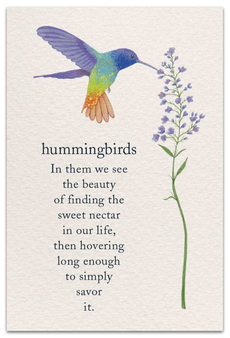 Hummingbirds Birthday Card Cardthartic Meaning Of Life