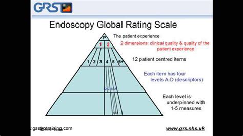 Gastroenterology Education And Cpd For Trainees And Specialists