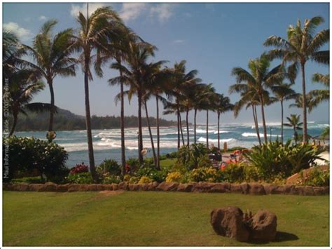 Turtle Bay Resort - Maui Information Guide