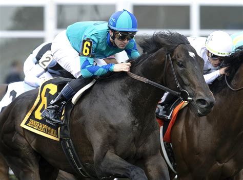 Never Explain should get right setup in Tampa Bay Stakes