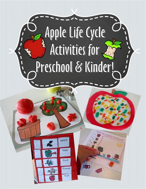 Printable Apple Life Cycle