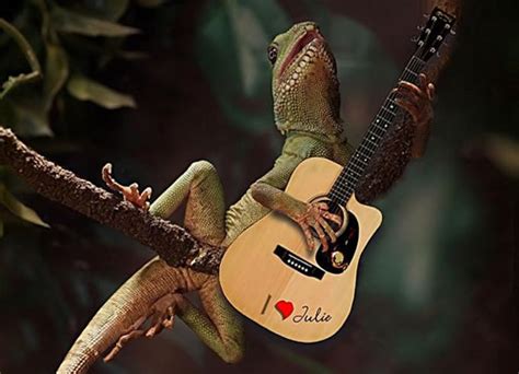 Funny Iguana wallpaper |Funny Animal