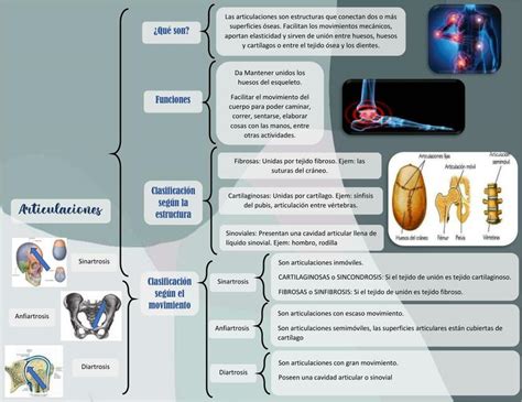 Solution Mapa Conceptual De Articulaciones Cuadro Sin Ptico De The