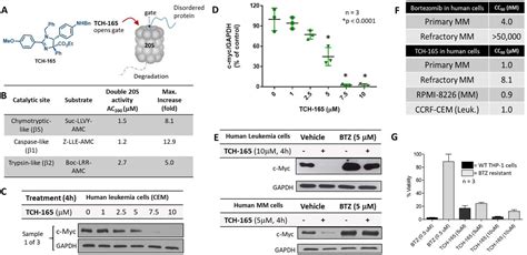 The AUTOTAC Chemical Biology Platform For Targeted Protein 52 OFF