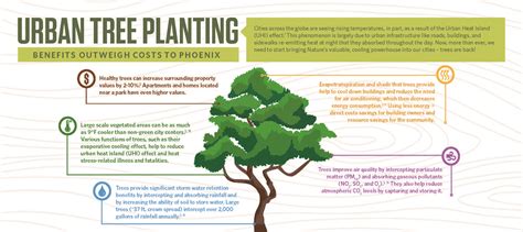 The Importance Of Trees AMWUA