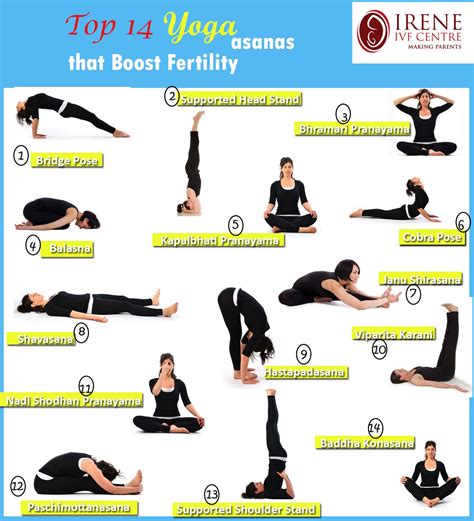 Awaken Your Fertility Yoga S Path To Enhanced Reproductive Health For