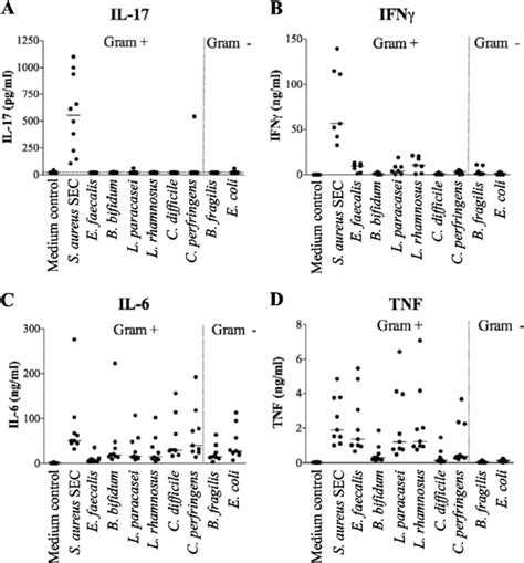 Production Of Il 17 Ifn ␥ Il 6 And Tnf By Human Pbmc After