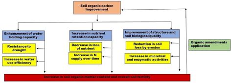 Effects of increasing soil organic matter content and overall soil ...