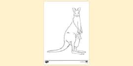 Free Kangaroo With Baby Joey Colouring Sheet Colouring Sheets