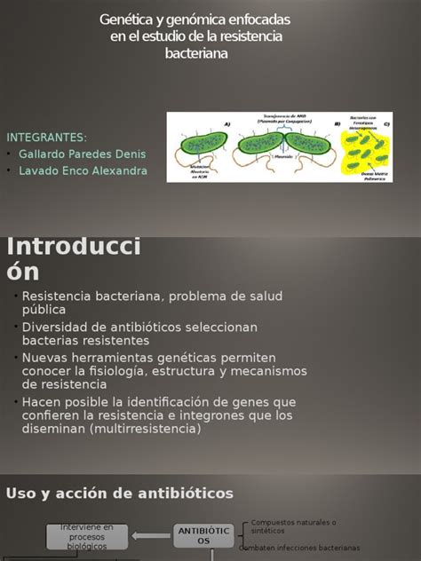 PDF Genética y Genómica Enfocadas En La Resistencia Bacteriana